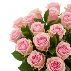 Розовые розы (15 шт)